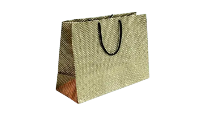 Paper Gift Bag