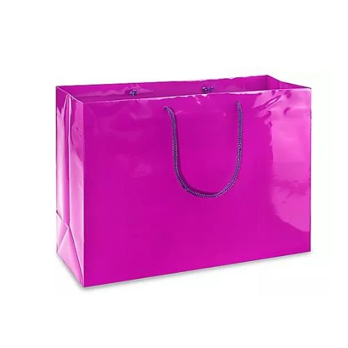 High Gloss Shopping Paper Bags