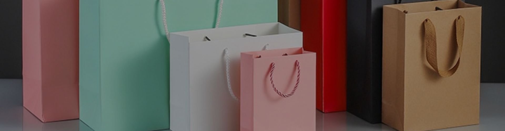 Paper Party Bags Manufacturer