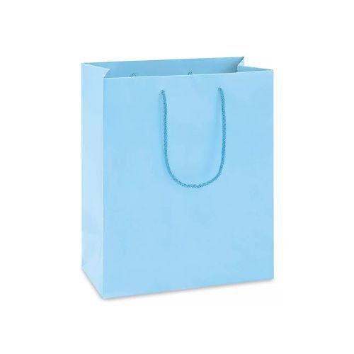 Matte Laminate Shopping Paper Bags